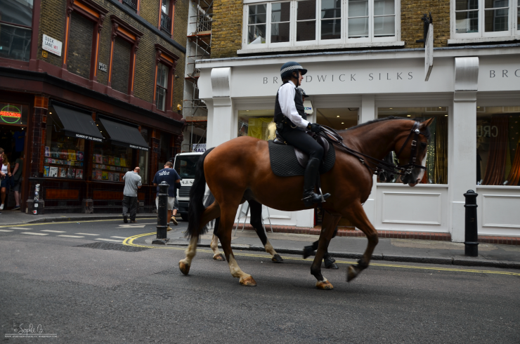 Londons-Streets-Horses
